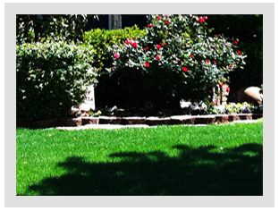 about_image01